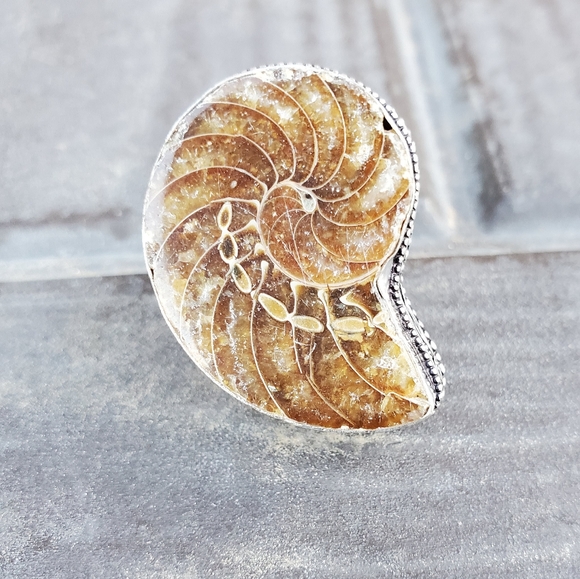 New Fossil Ammonite Silver Statement Ring. - Picture 3 of 16